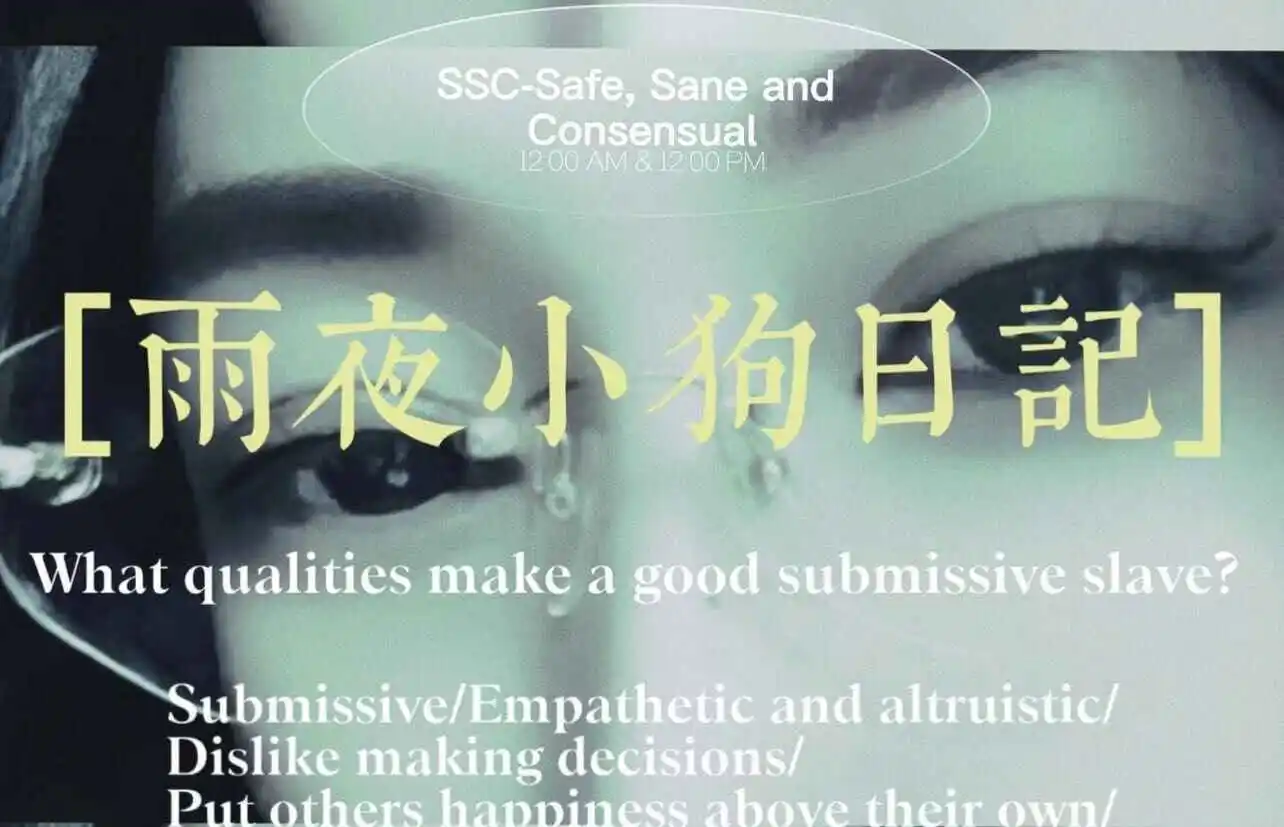 西檬之家k8猫系是什么? 一