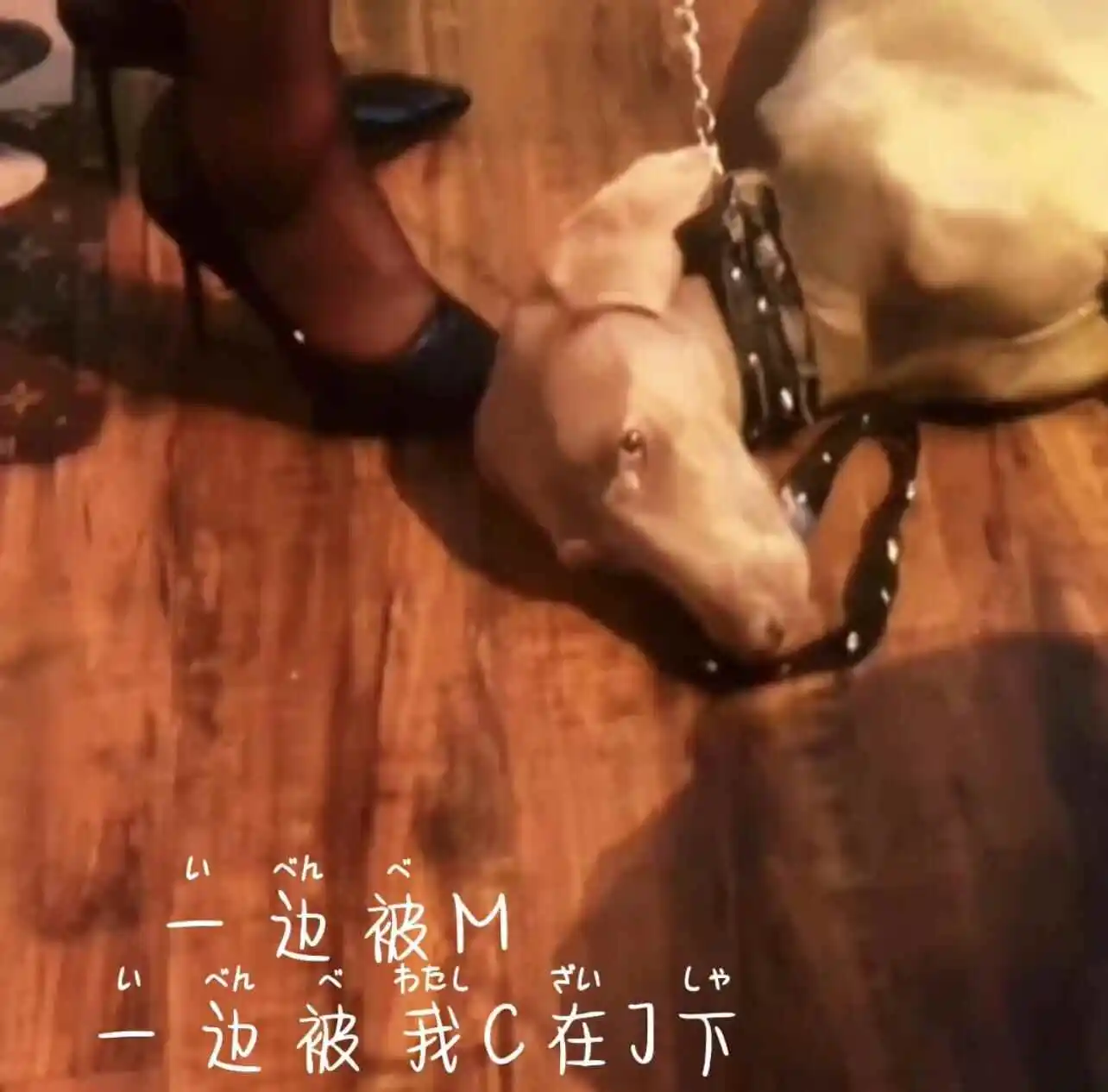 西檬之家BDSM入圈指南 一