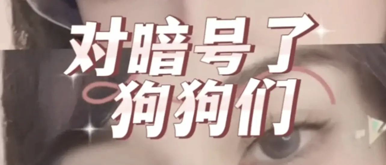 西檬之家女王是什么意思?字母圈新人如何理解? 一