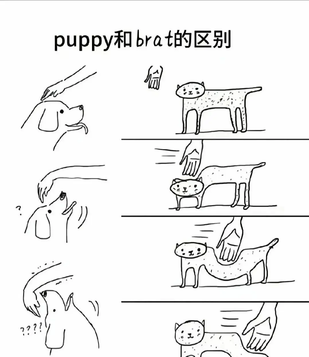 西檬之家Dirty Talk是什么？字母圈新人入圈指南 一