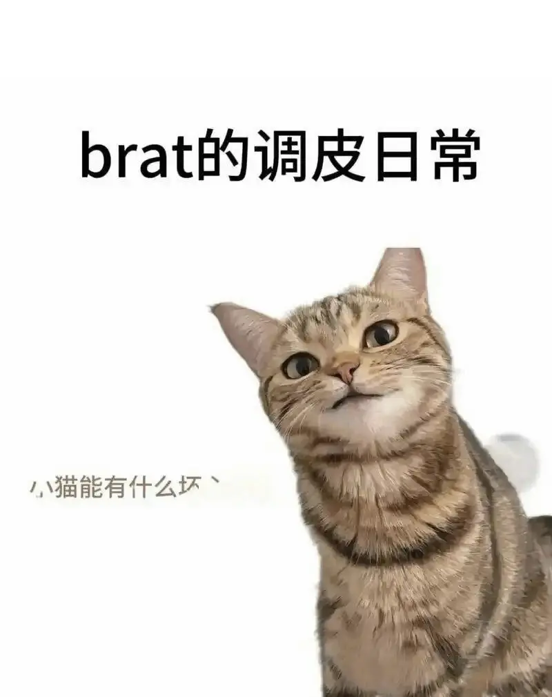 西檬之家恋足癖是什么?字母圈新人入圈 一