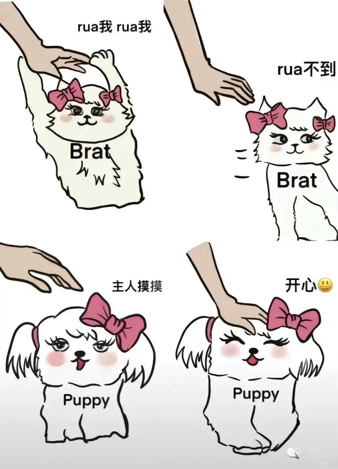 西檬之家字母圈新人如何入圈？ 一