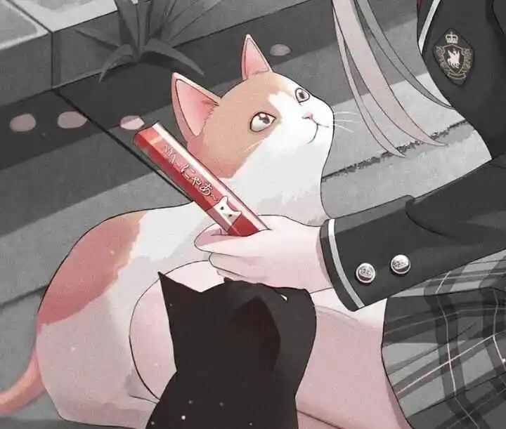 西檬之家k9犬系是什么?你的字母圈属性是什么? 一